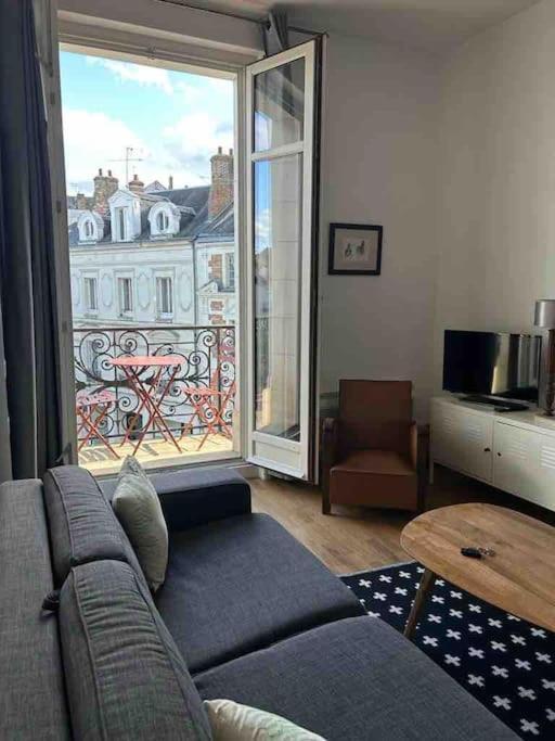 ~Rosa Bonheur~Hyper Centre Apartment Blois Luaran gambar